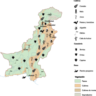 Pakistan mapa agricultura digital